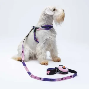 Set guinzaglieria per cani Complete Me