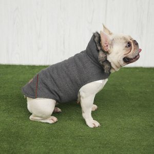 Abbigliamento per cani stile invernale