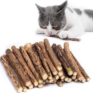 5 Pezzi Matatabi Stick per gatti in legno contro alito cattivo