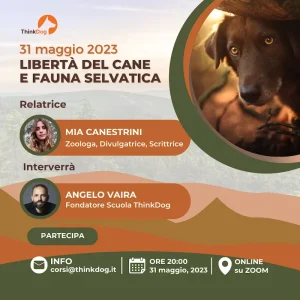 Webinar Libertà del cane e fauna selvatica