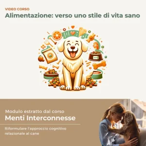 Alimentazione: verso uno stile di vita sano