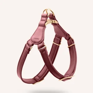 Imbracatura cane pelle vegana Jala – Borgogna