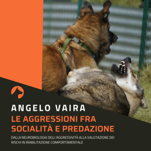Webinar Le aggressioni fra socialità e predazione